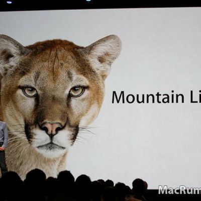 mountainlion560