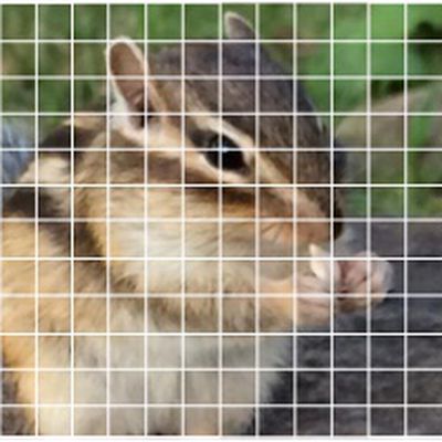 192pointautofocus