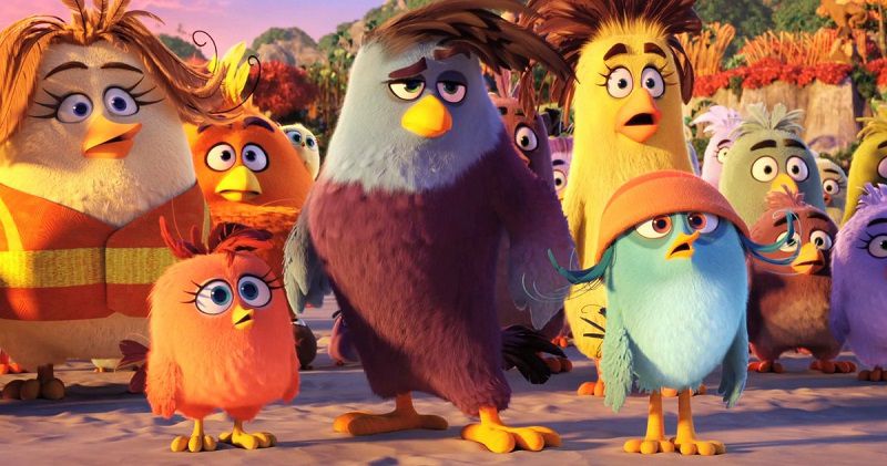 angry birds movie screen