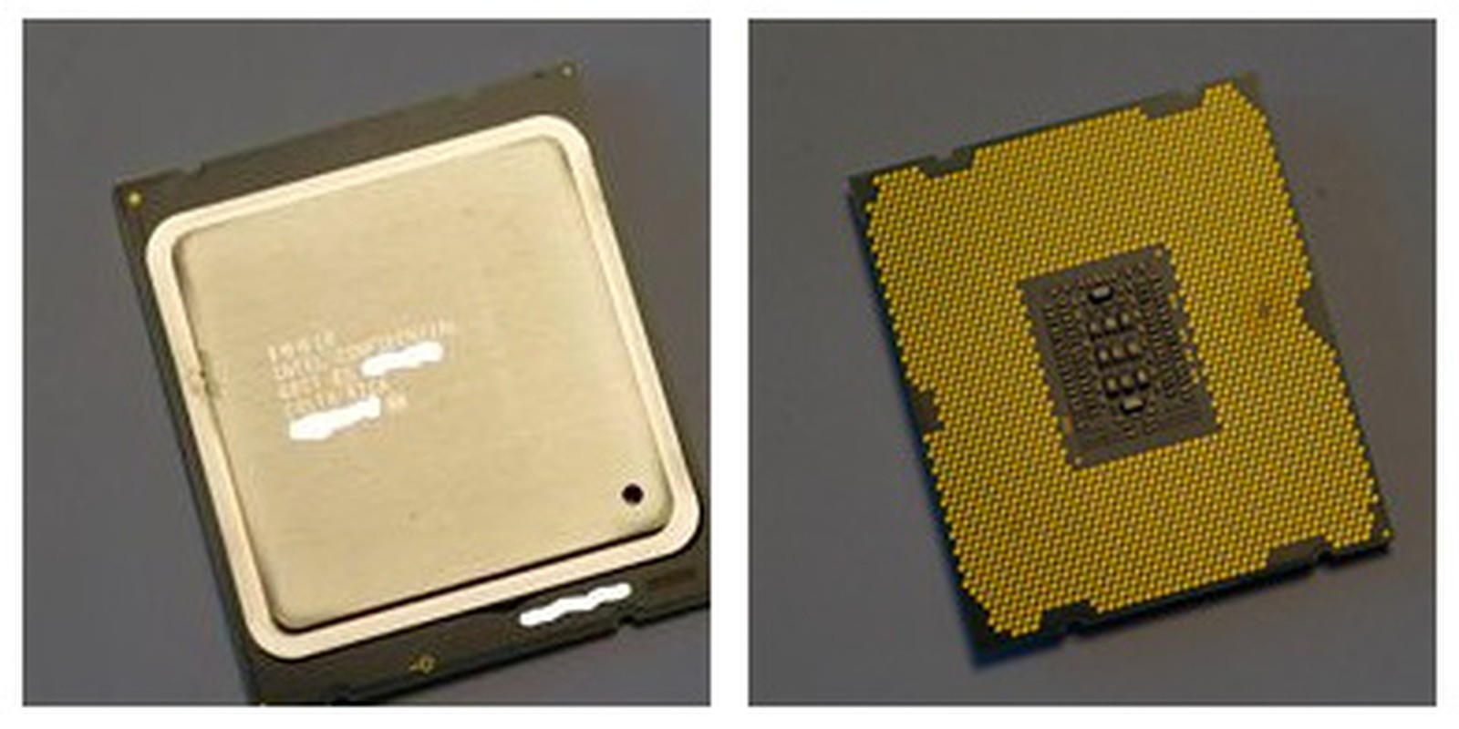 mac rumors xeon graphics card in macbook pro