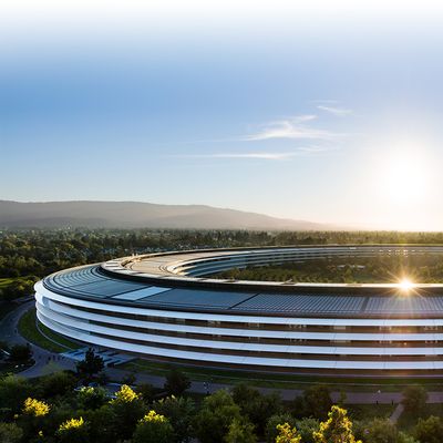 Apple Park View