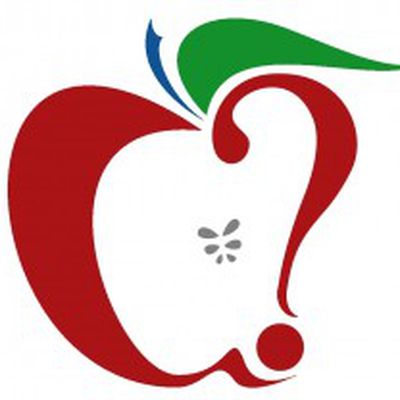 MacRumors content image