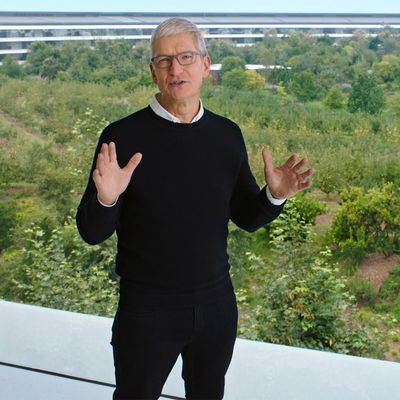Tim Cook 2