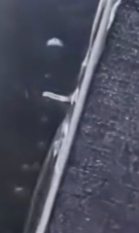 Attachment Image