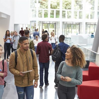csu ipad program