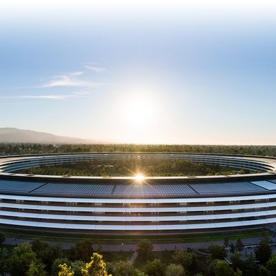 Apple Park View