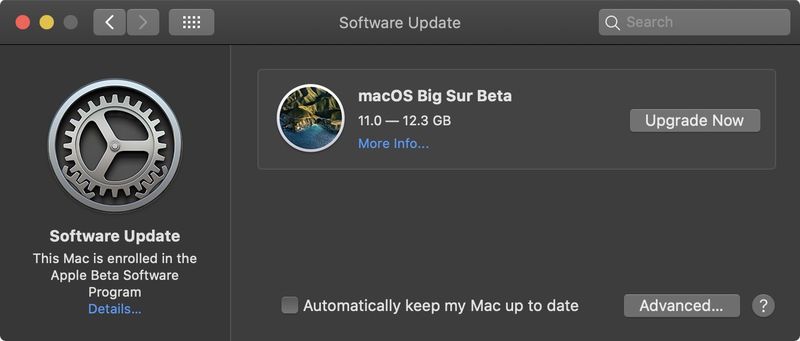 bit torrent for mac big sur