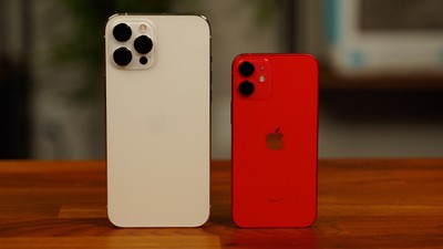 iphone 12 mini pro max side by side