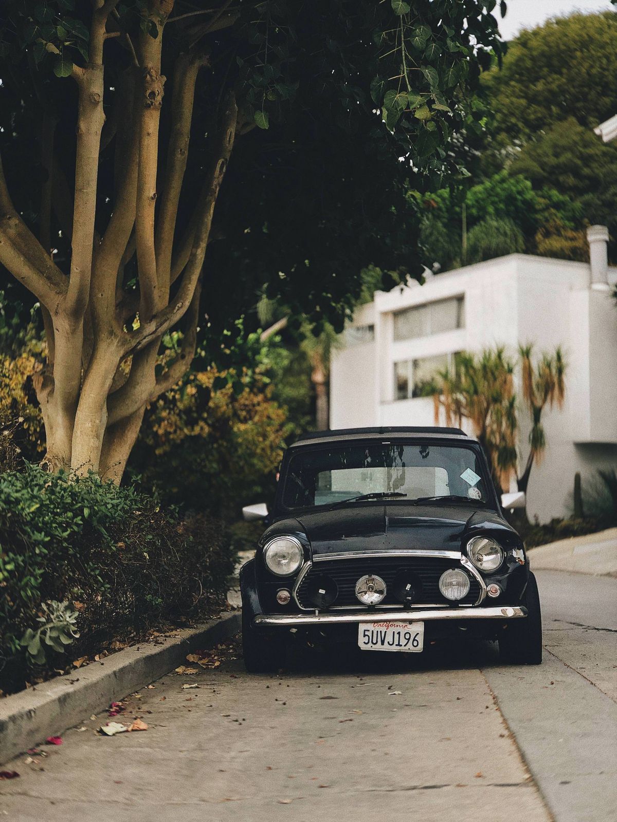 focos portrait mode editing app new lens effects image