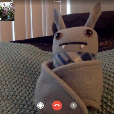 newfacetimeinterfaceios11