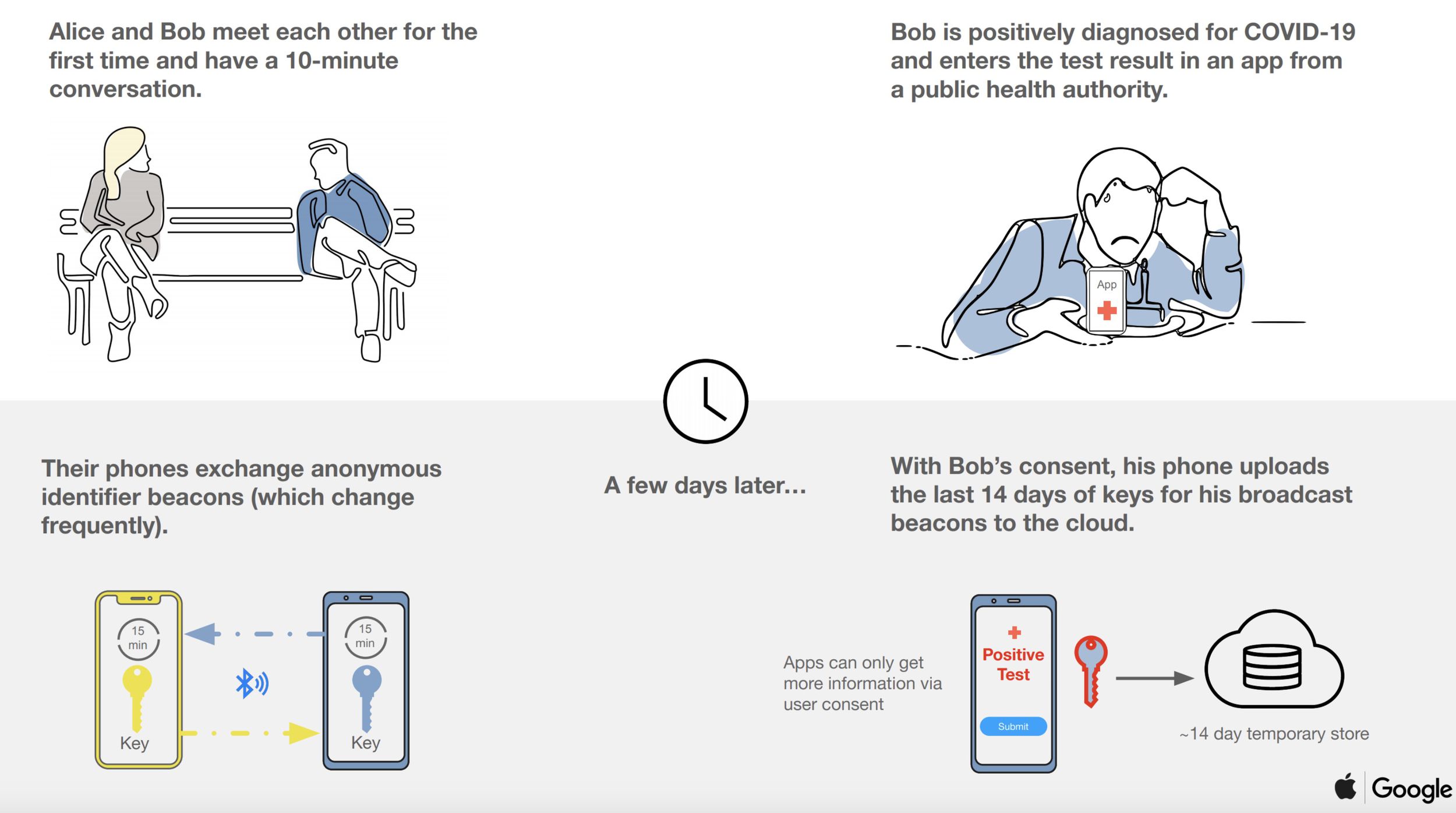 Apple's Exposure Notification System Guide - MacRumors