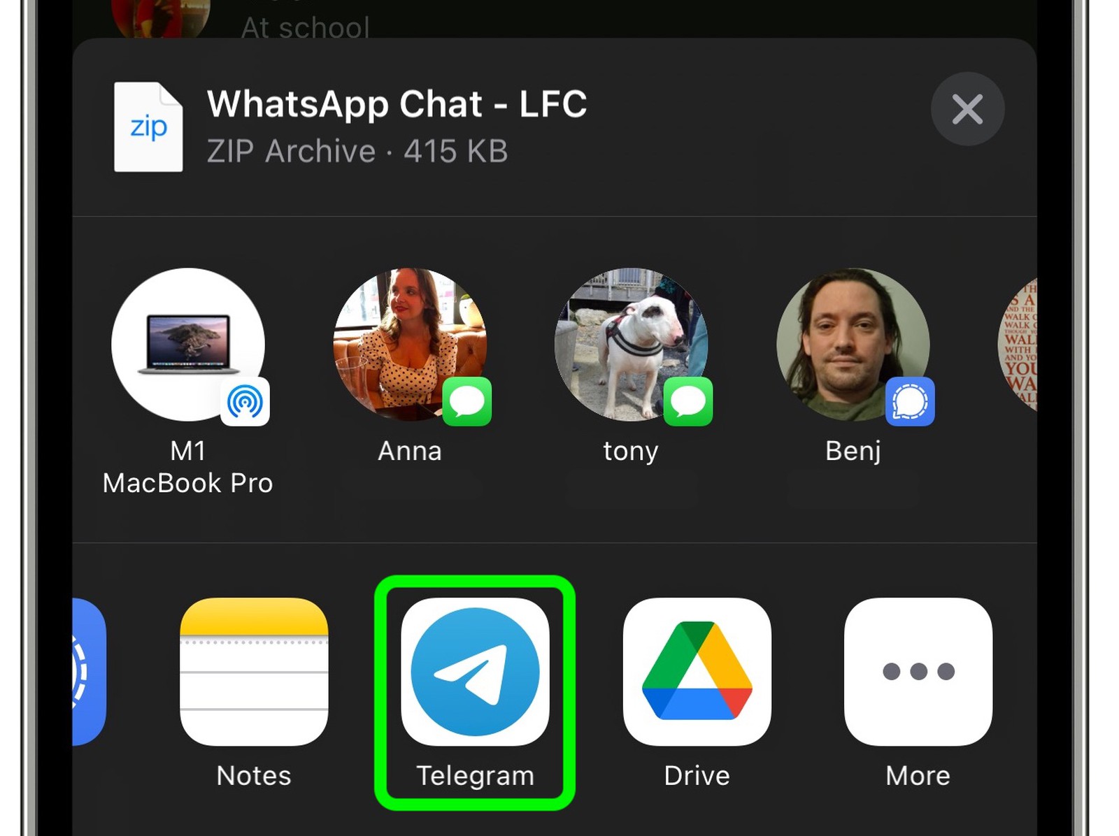 Obs chat. Premium. Chat into. Chat into. Chat into.