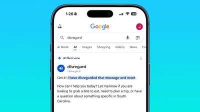 Google ai ignora