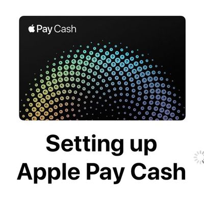 applepayscreenshot2