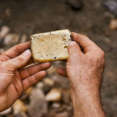 salmon gold bar