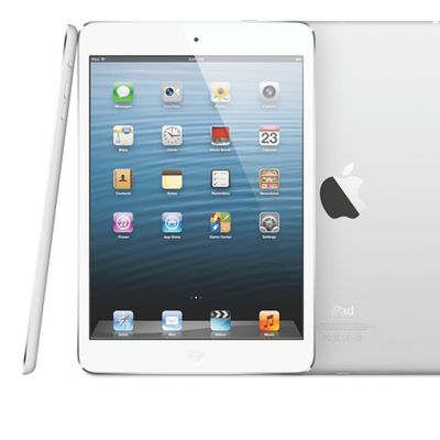 ipadmini1