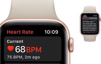apple watch 4 heart rate