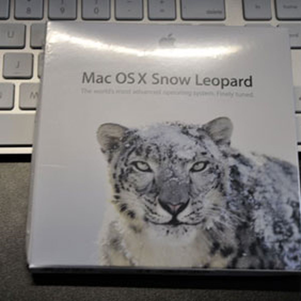 140518-snowl.jpg