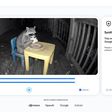 Google's SynthID AI Detector is Now Available to Everyone