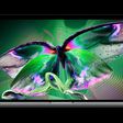 oled macbook pro display