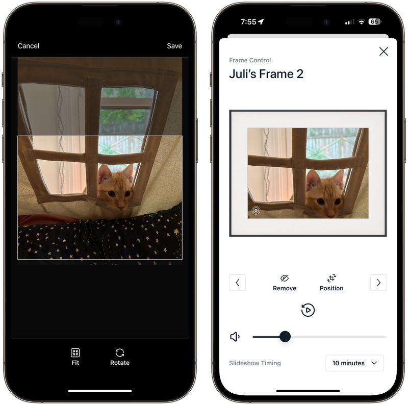 Aura Walden Review MacRumors