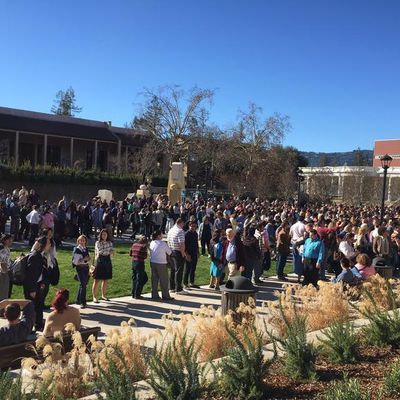 steve jobs extras line