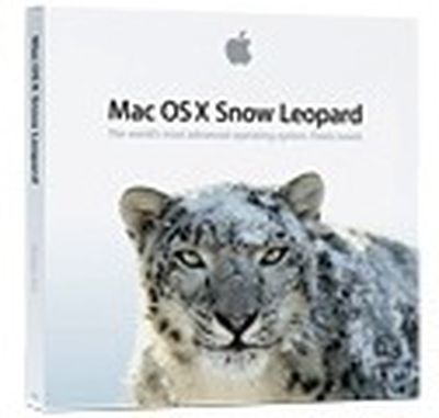 171406 snow leopard box