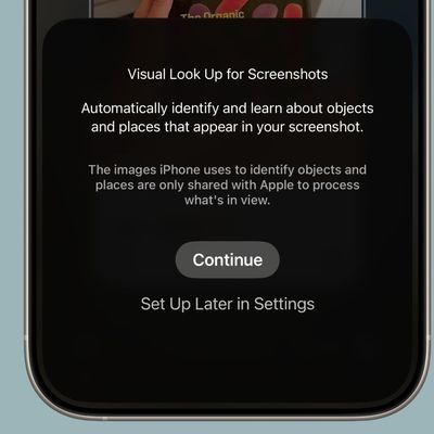 visual lookup ios 26
