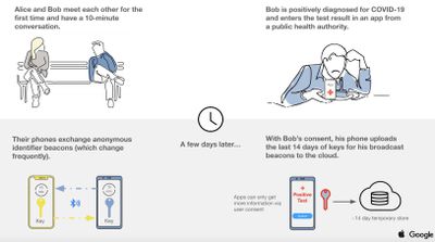 apple google contact tracing slide