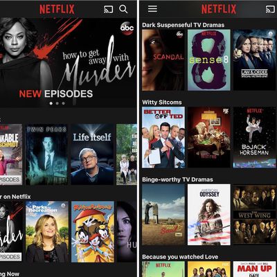 Netflix iOS app