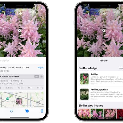 photos visual lookup