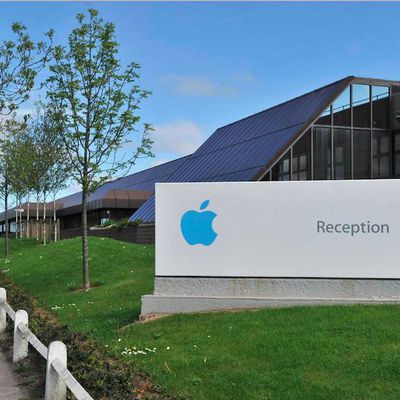 apple hollyhill cork