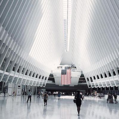 13658442 1066446680109030 1593753198 n