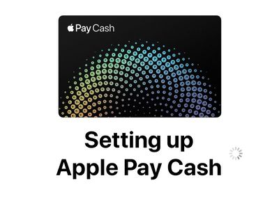 applepayscreenshot2