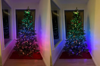 philips hue festavia gradients - نقد و بررسی: چراغ های Philips Hue Festavia گران هستند، اما برای درختان کریسمس و تزئینات تعطیلات عالی هستند
