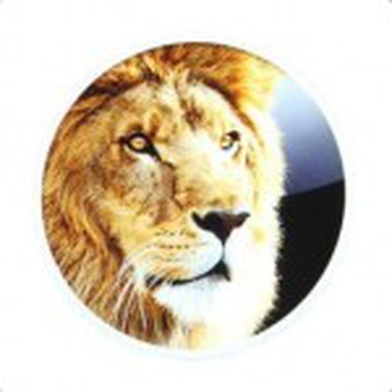 lionlogo