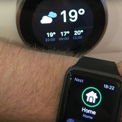 Nest apple watch