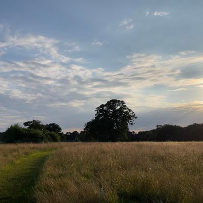 ios 15 lens flare