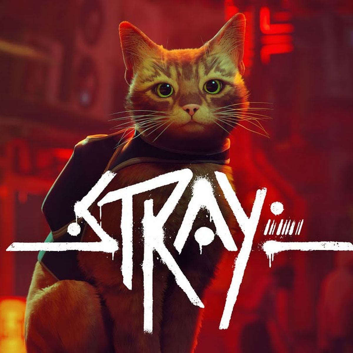 Cat game Stray knocks things off shelves for Mac users coming soon —  GAMINGTREND