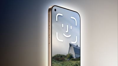 iPhone Top Left Hole Punch Face ID Feature