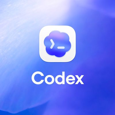 codex openai