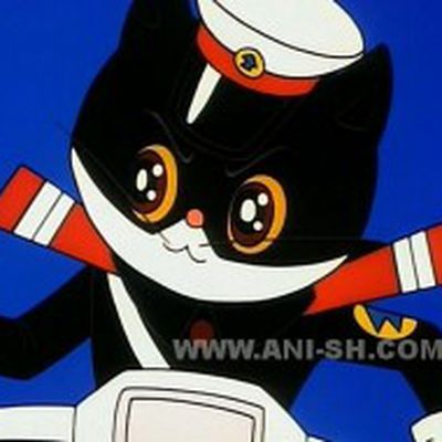 black cat detective