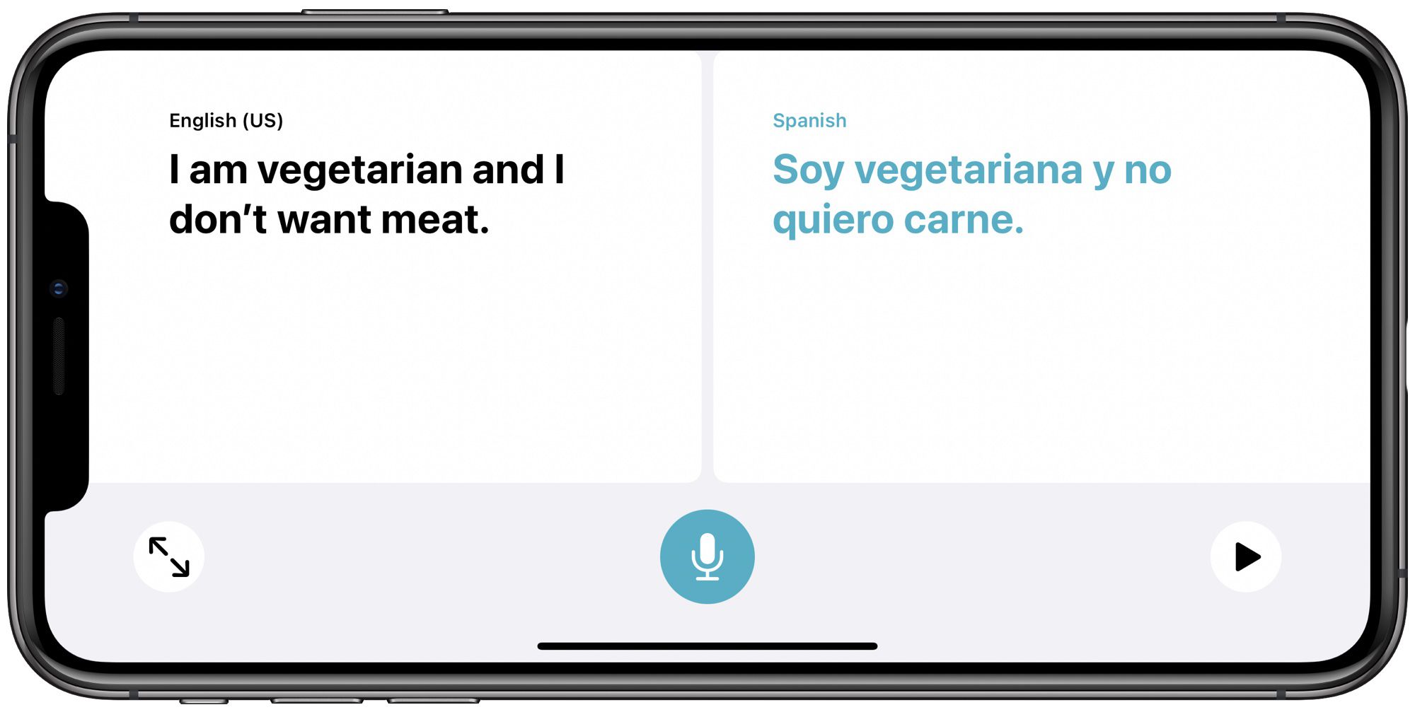 iOS 14 Apple's BuiltIn iPhone Translate App That Works With 11