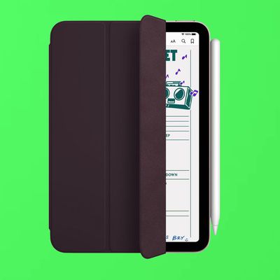ipad mini apple pencil green