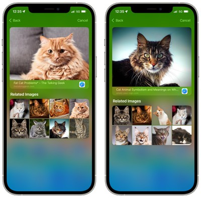 ios 15 featured image search 2