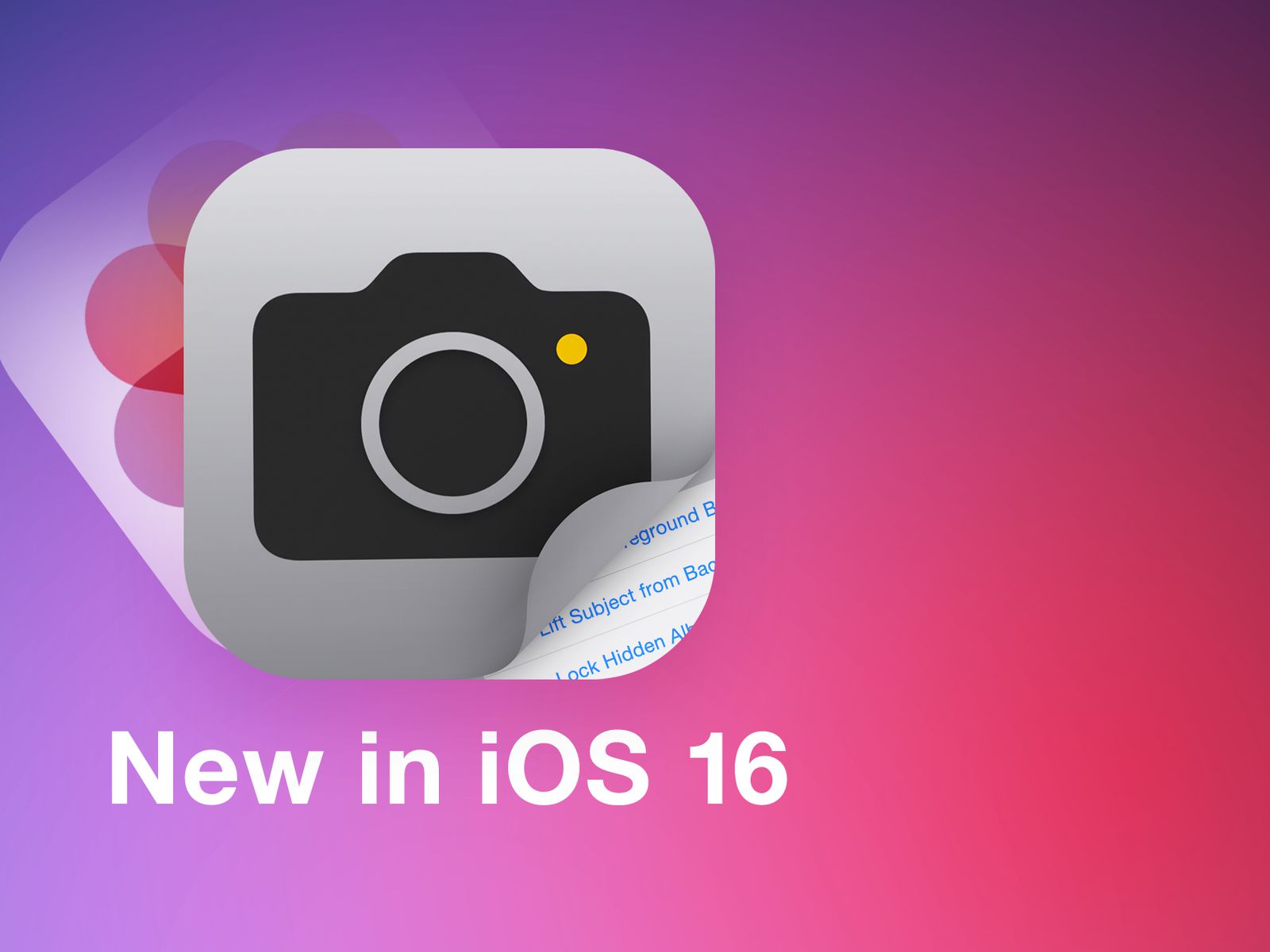 Dismiss Daytime Restraint Everything New in the iOS 16 Photos and Camera Apps - MacRumors