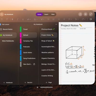 microsoft onenote vision pro