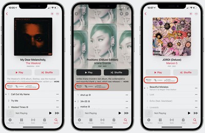 пространственные лейблы Apple Music