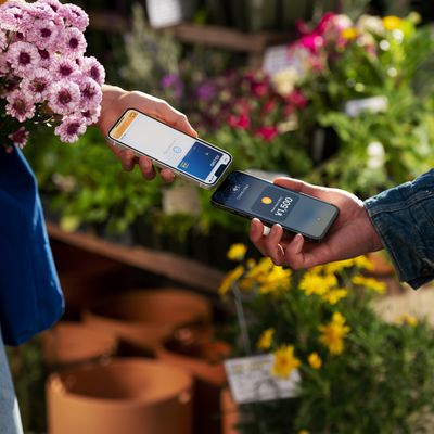 Apple Tap to Pay Japan iPhone iOS app digital wallets