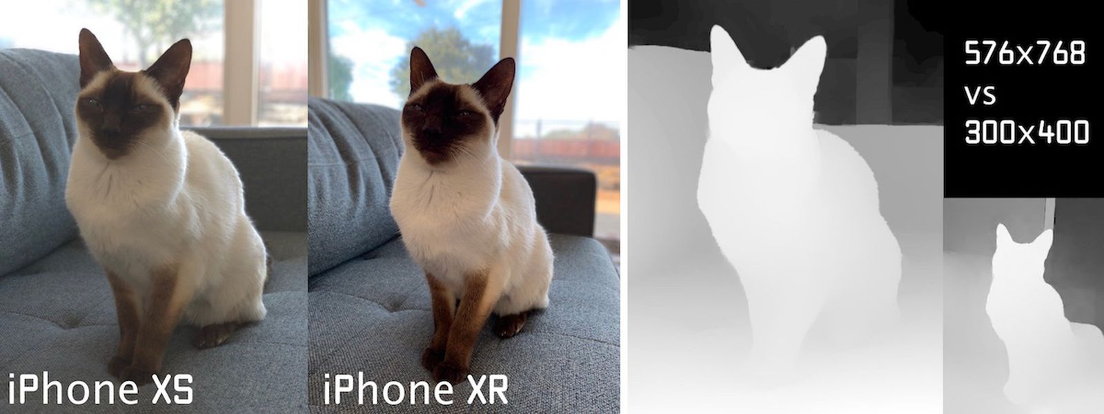 Halide Developers Enable Portrait Mode On Iphone Xr For Objects And Pets Updated Macrumors